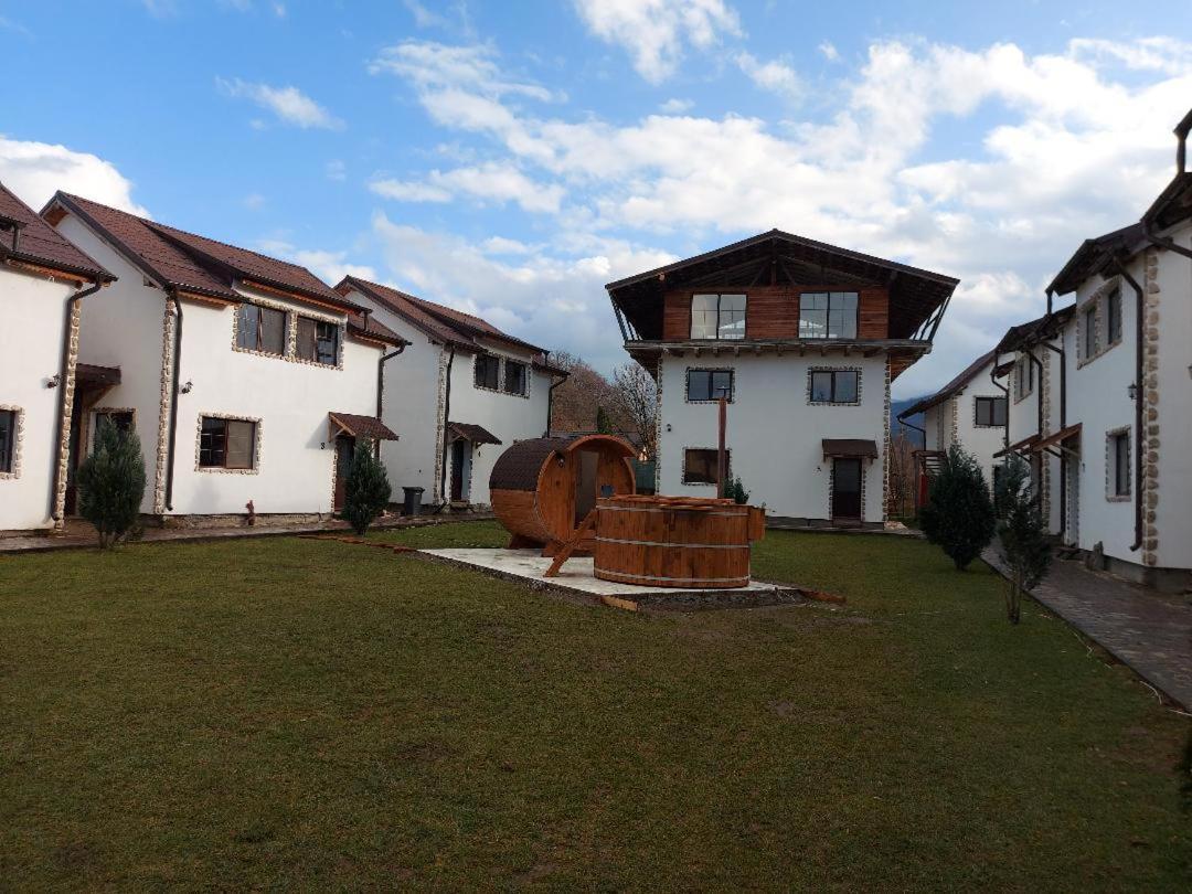 Domeniul Roa Hotel Avrig Bagian luar foto
