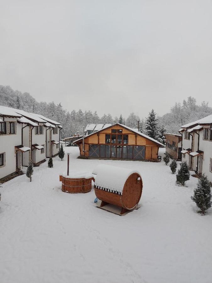 Domeniul Roa Hotel Avrig Bagian luar foto