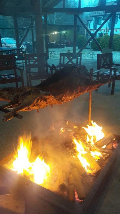 Domeniul Roa Hotel Avrig Bagian luar foto